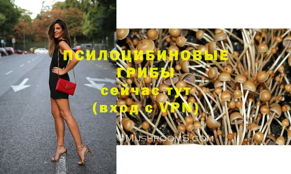 шишки Нефтегорск