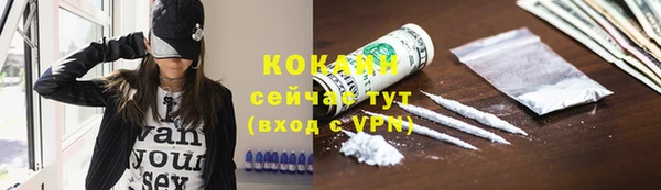 молекула духа Надым