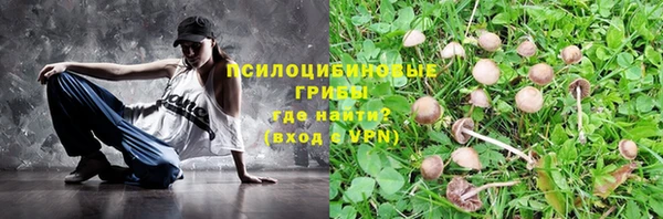 шишки Нефтегорск