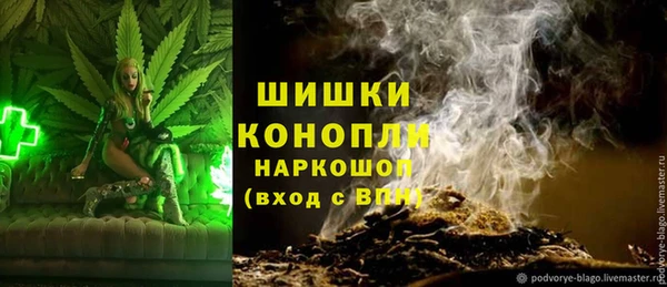 тгк Нея