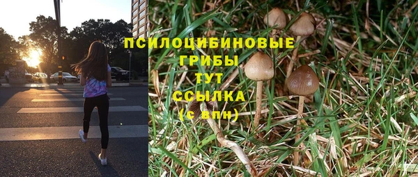 ешки Валдай